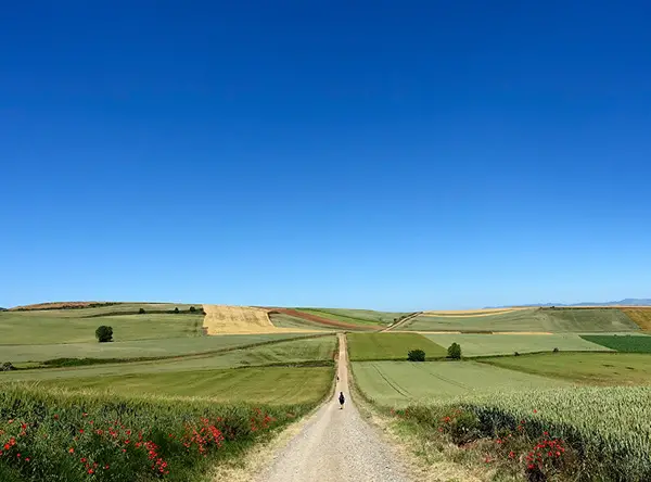 person on road that runs across a field