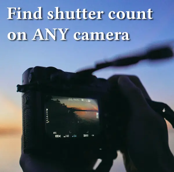 How Do I Find the Shutter Count On My Camera? (Any Brand)