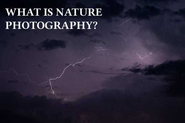 What is Nature Photography?