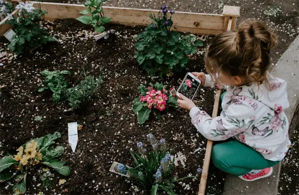 Girl photographing garden