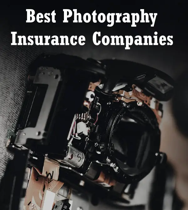 Best Photography Insurance Companies: Cameras and More