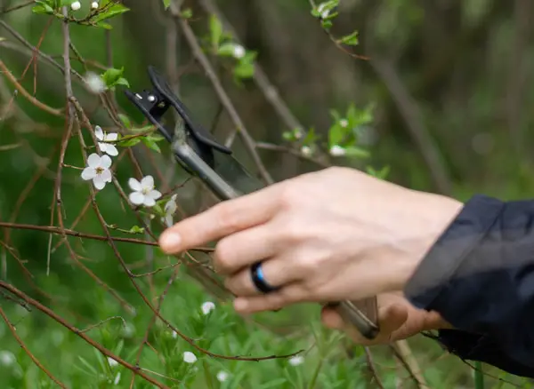 Attachable phone lens for macro photography