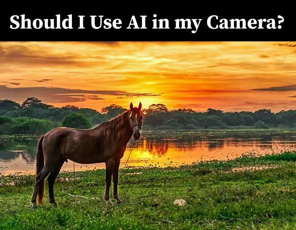 Should I Use AI in my Camera? Exploring Smart Photography