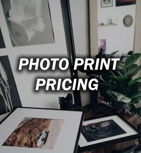 Photography Print Pricing Guide: Path to Profitable Sales