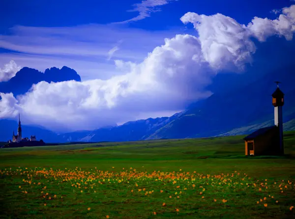 Landscape of a castle and flower field